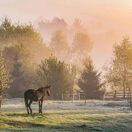 Three-bedroom In 度假居 *