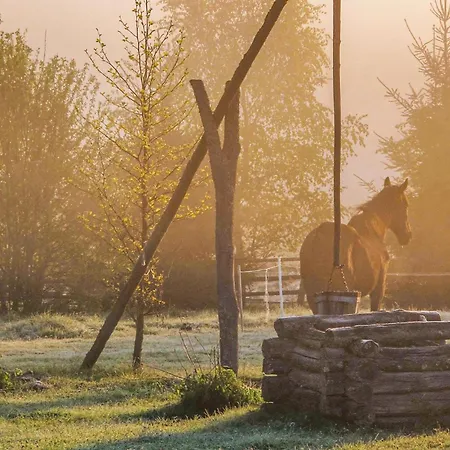 度假居 Three-bedroom In *