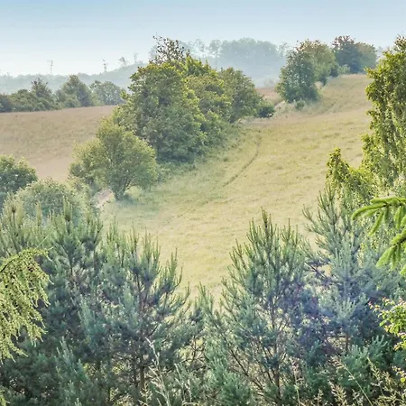 Three-bedroom In 度假居 Milakowo